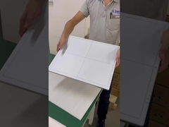 Detector de panel plano 17*17
