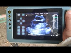 Ecógrafo veterinario portátil BR-VET8
